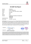CE SAR Test Report
