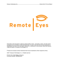 Remote Eyes 8.5 Manual - Retail Data Systems of Wisconsin