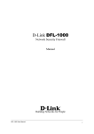 D-Link DFL-1000