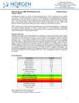 Plasma-Serum CMV PCR Detection Kit