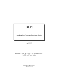 DLPI User Manual