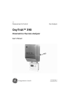 OxyTrak™ 390 Panametrics Flue Gas Analyzer User`s Manual