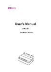 DP320 User`s Manual (V1.1)