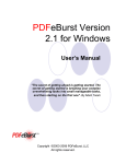 PDFeBurst Version 2.0 for Windows