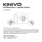 M2 Bluetooth 2.1 Speaker System