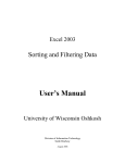 Excel 2003 Sorting And Filtering Manual