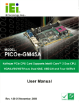 PICOe-GM45A User Manual