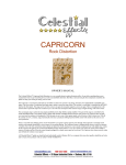 View and the Capricorn User Manual