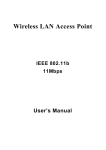 Wireless LAN Access Point