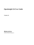 OpenInsight Git User Guide v1.0