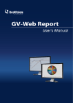 GV-Web Report