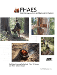 FHAES: Fire History Analysis and Exploration System