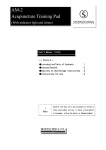 AM-2 Acupuncture Training Pad