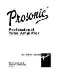 Professional Tube Amplifier