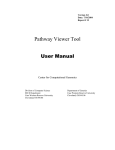 Pathway Visualization: User`s Manual