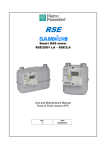 Smart GAS meter RSE/2001 LA – RSE/2,4