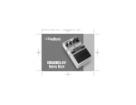 DigiDelay Manual RevC