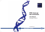 PCR clean-up Gel extraction