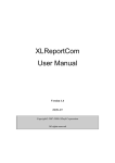 XLReportCom User Manual