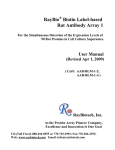 RayBio Biotin Label-based Rat Antibody Array 1