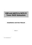 USB and eSATA to SATA II Tower RAID Subsystem