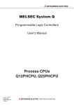 Process CPU User`s Manual(Hardware Design,Maintenance and