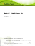 EpiQuik ™ DNMT1 Assay Kit