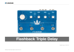 Flashback Triple Delay Manual English