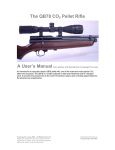 The QB78 CO2 Pellet Rifle - Airrifle.co.za ¤ Passionate About Air Rifles