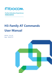 AT Commands User Manual VR1.0.9