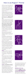 Instruction Guide