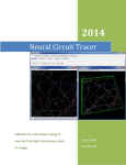 Neural Circuit Tracer - Northeastern University