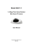 1.3 Mega Pixel Mini Dome IP Camera User Manual