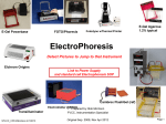 Electrophoresis -EGel and Transilluminators