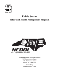Public Sector Safety and Health Management Program