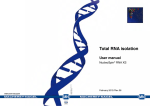 Total RNA isolation User manual