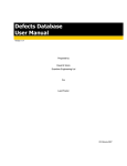 Defects Database User Manual