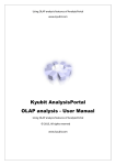 Kyubit AnalysisPortal OLAP analysis