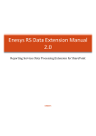 Enesys RS Data Extension Manual