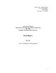 The full report (pdf format) - William Summerfield Dubel IV