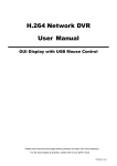 H.264 Network DVR User Manual