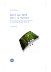 DIGE Gel and DIGE Buffer Kit - GE Healthcare Life Sciences