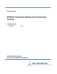 RAPAd® Universal Adenoviral Expression System