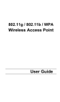 VX-AP1WPro User Manual