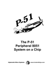 Cybernetic Micro P-51 User`s Manual