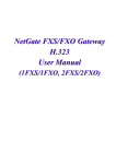 NetGate FXS/FXO Gateway H.323 User Manual