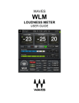WLM Loudness Meter User Manual - AV-iQ