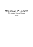 Megapixel IP Camera