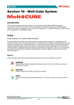 Section 16 - Melt-Cube System - Mold