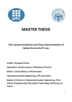 MASTER THESIS